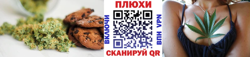 дарнет шоп  Щёлково  Canna-Cookies конопля 