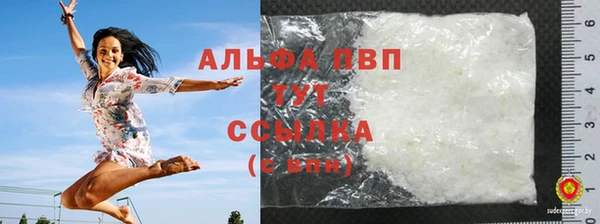 мдпв Ельня